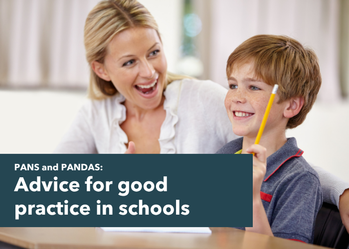 Advice for good practice in schools