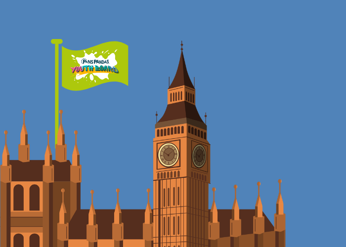 Our Youth Board went to Parliament Image