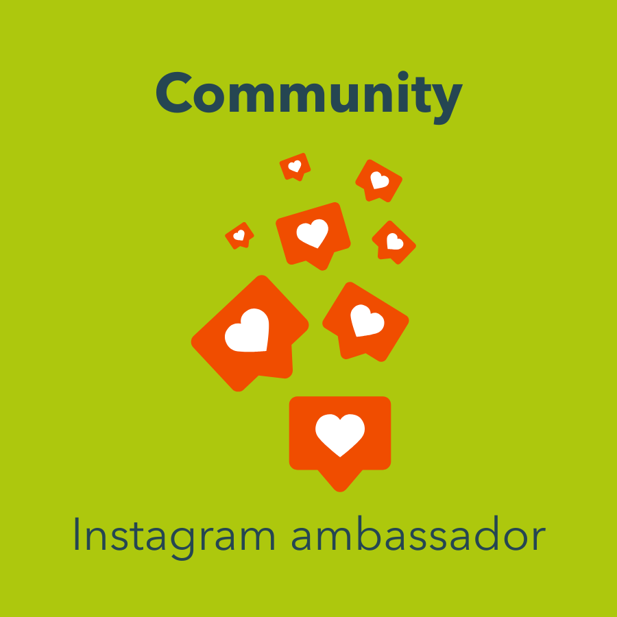 Instagram ambassador